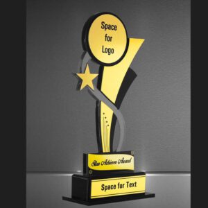 Custom Acrylic Trophies in Every Size & Color | Personalized  Engraving Options