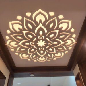 Acrylic Ceiling Panel – Home Decor Upgrade